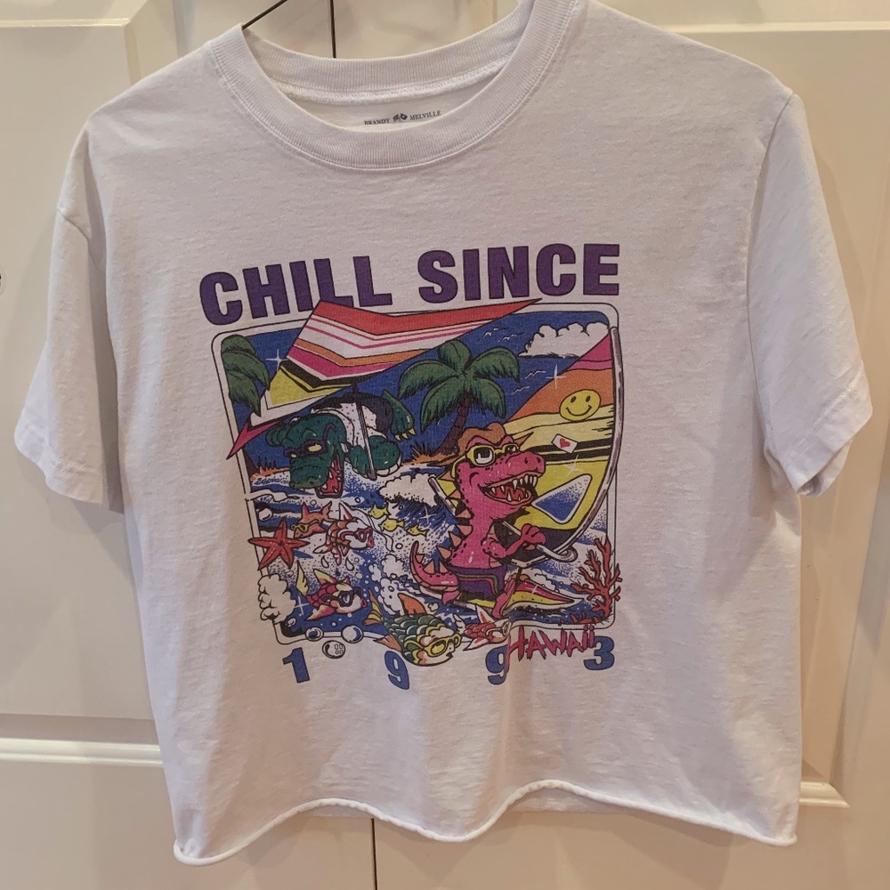 Brandy Melville Chill Since Hawaii 93 Cropped Tee